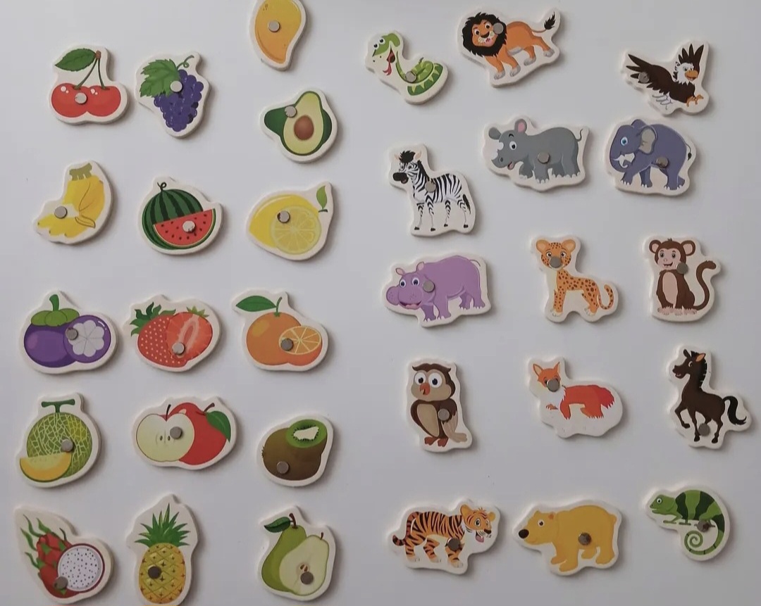 ماهیگیری مگنتی